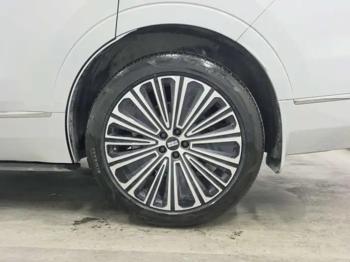 Geely M9 2025 Model 210km 4WD Pilot Edition – фото 9