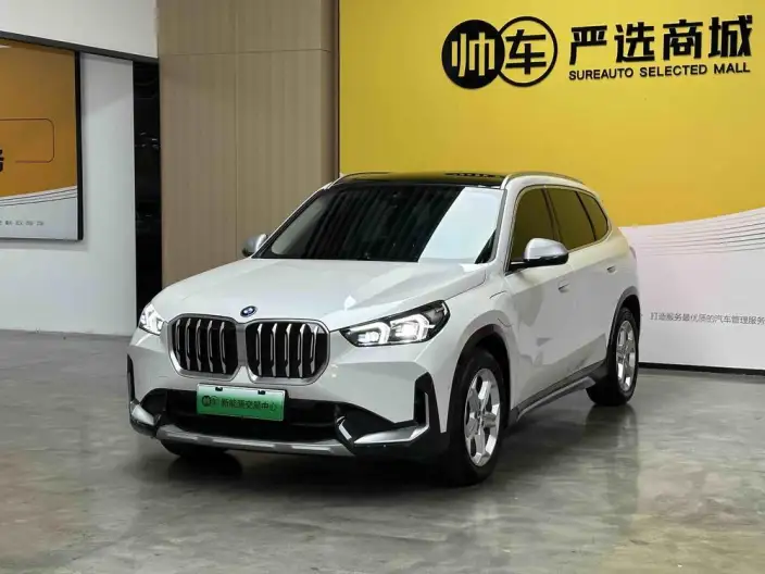 BMW iX 1 2024 Model eDrive25L X Design Set – фото 1