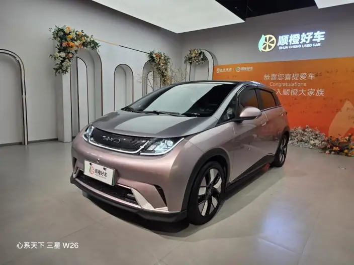 BYD Dolphin 2021 Model Knight Edition – фото 1