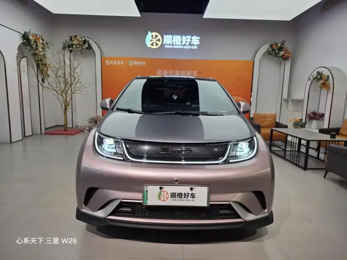 BYD Dolphin 2021 Model Knight Edition – фото 2