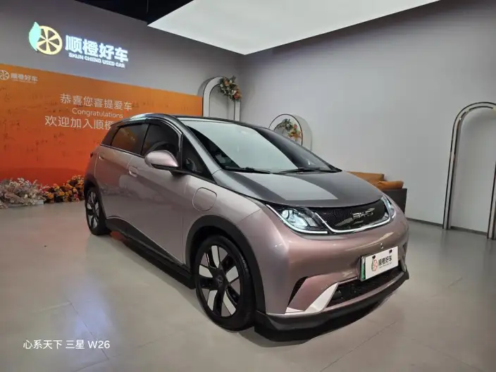 BYD Dolphin 2021 Model Knight Edition – фото 3