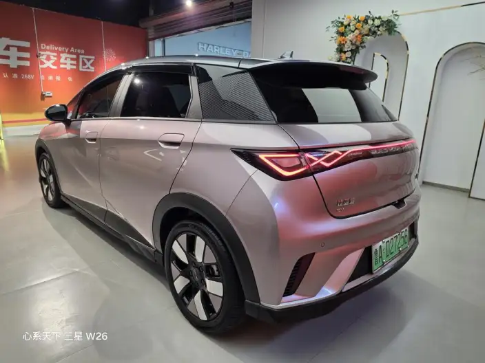 BYD Dolphin 2021 Model Knight Edition – фото 4