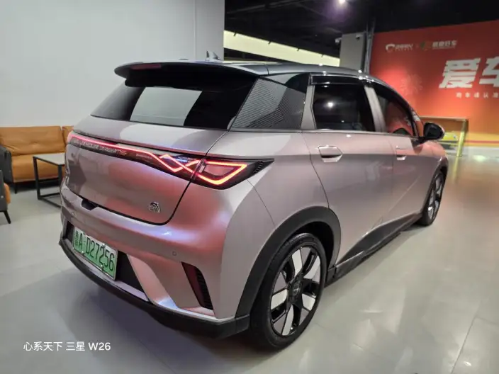 BYD Dolphin 2021 Model Knight Edition – фото 6
