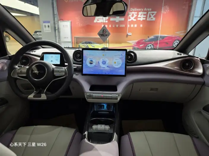 BYD Dolphin 2021 Model Knight Edition – фото 9