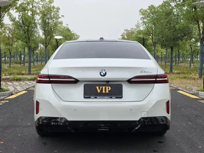 BMW 5 Series 2024 Model 530Li Exclusive Model M Sports Set – фото 6
