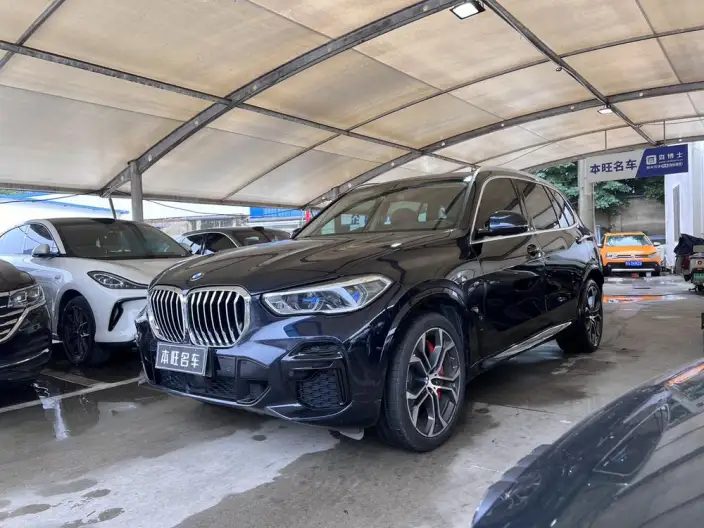 BMW X5 2022 Model Facelift xDrive 30Li Exclusive Model M Sports Set – фото 1