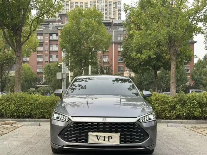 BYD Qin PLUS DM 2021 Model DM-i 55KM Flagship Model – фото 2