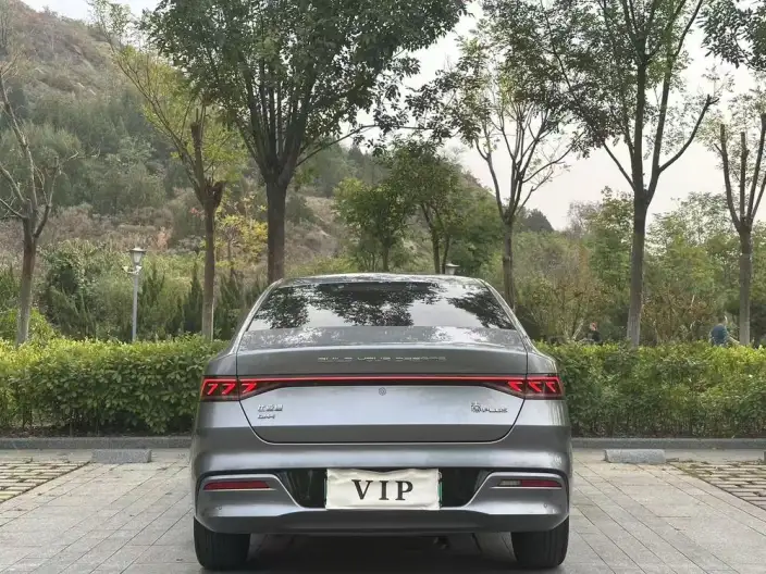BYD Qin PLUS DM 2021 Model DM-i 55KM Flagship Model – фото 5