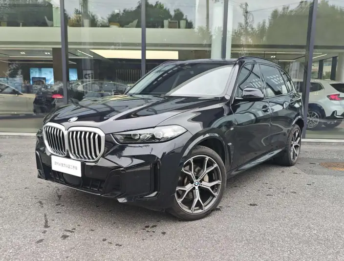 BMW X5 2023 Model xDrive30Li Exclusive Model M Sports Night Set – фото 1