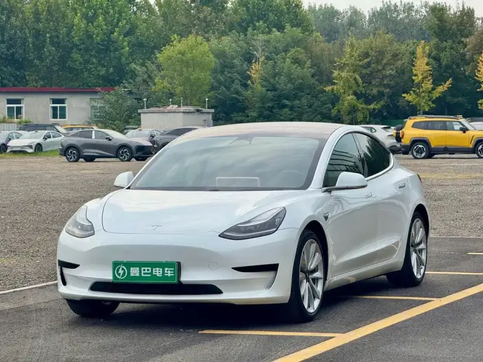 Model 3 2020 Model Standard Battery Life Rear Drive L Class Edition – фото 1