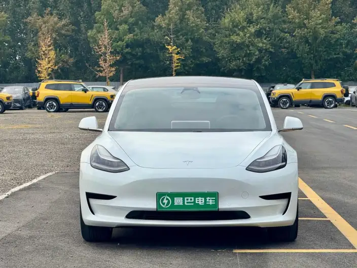 Model 3 2020 Model Standard Battery Life Rear Drive L Class Edition – фото 2