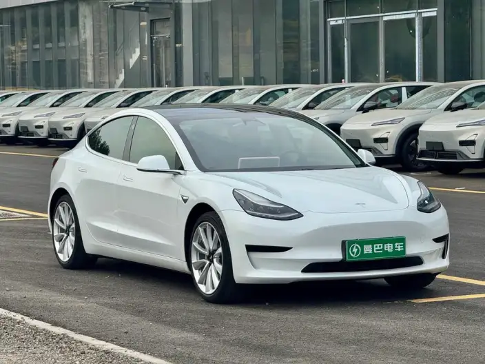 Model 3 2020 Model Standard Battery Life Rear Drive L Class Edition – фото 3