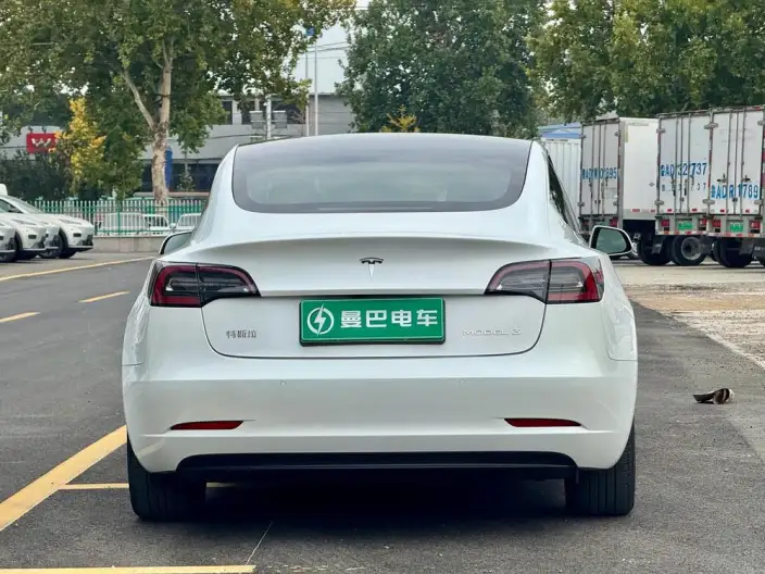 Model 3 2020 Model Standard Battery Life Rear Drive L Class Edition – фото 5