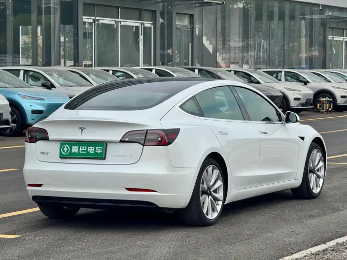 Model 3 2020 Model Standard Battery Life Rear Drive L Class Edition – фото 6