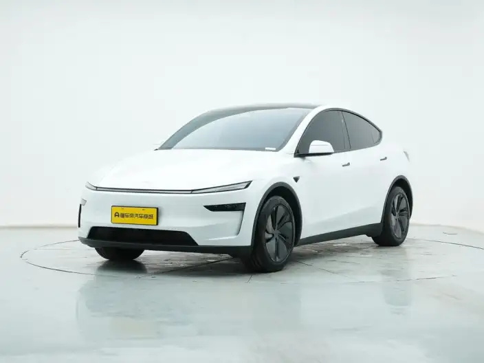 Model Y 2025 Model Rear-wheel drive version – фото 1