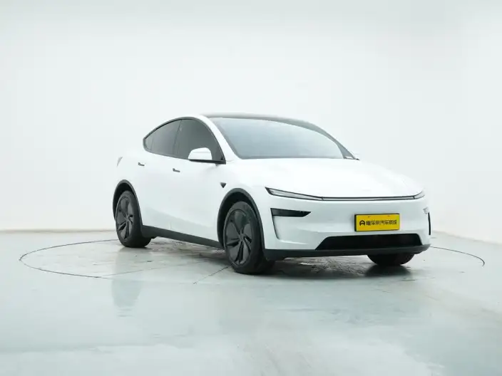 Model Y 2025 Model Rear-wheel drive version – фото 3