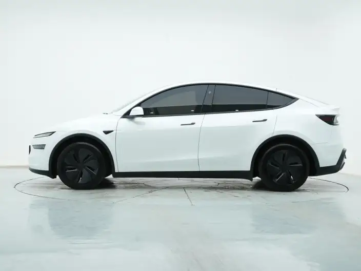 Model Y 2025 Model Rear-wheel drive version – фото 4