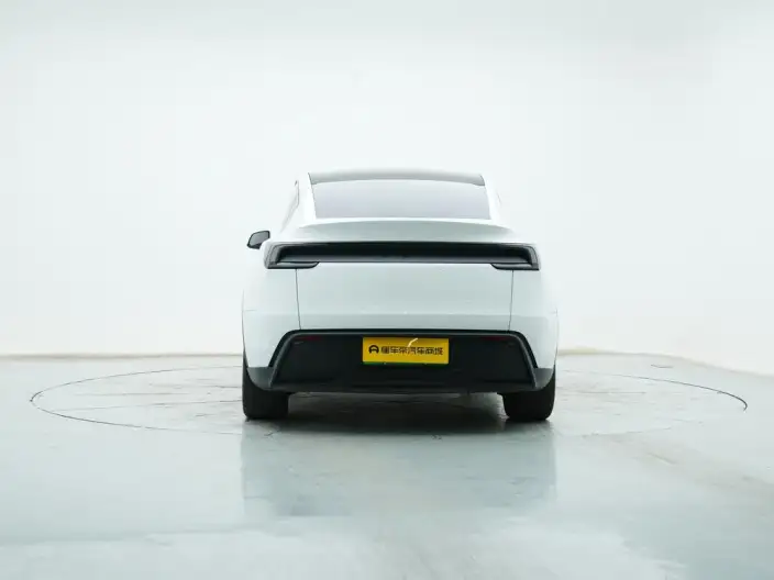 Model Y 2025 Model Rear-wheel drive version – фото 6