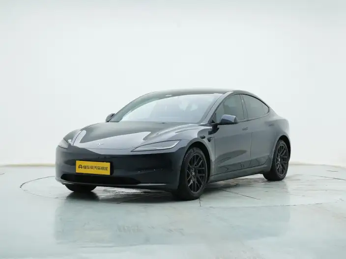 Model 3 2025 Model Rear-wheel drive version – фото 1