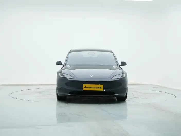 Model 3 2025 Model Rear-wheel drive version – фото 2