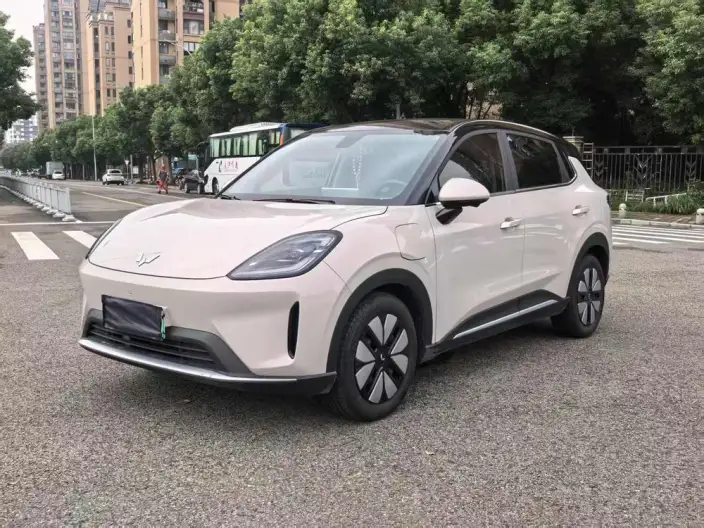 Wuling BingoS 2025 Model 325km Exclusive Model – фото 1