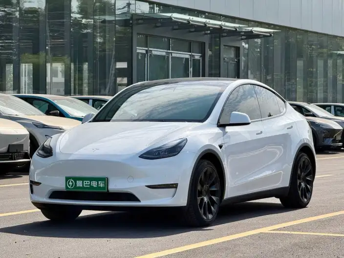 Model Y 2022 Model Long Battery Life Pro All-wheel drive version – фото 1