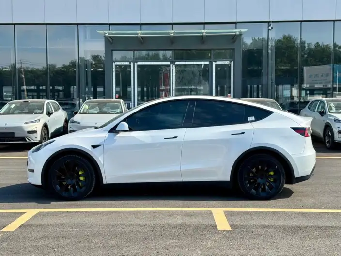 Model Y 2022 Model Long Battery Life Pro All-wheel drive version – фото 3
