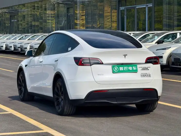 Model Y 2022 Model Long Battery Life Pro All-wheel drive version – фото 4