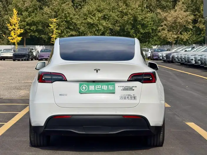 Model Y 2022 Model Long Battery Life Pro All-wheel drive version – фото 5