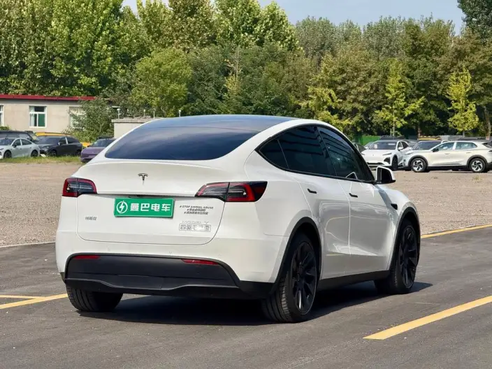 Model Y 2022 Model Long Battery Life Pro All-wheel drive version – фото 6