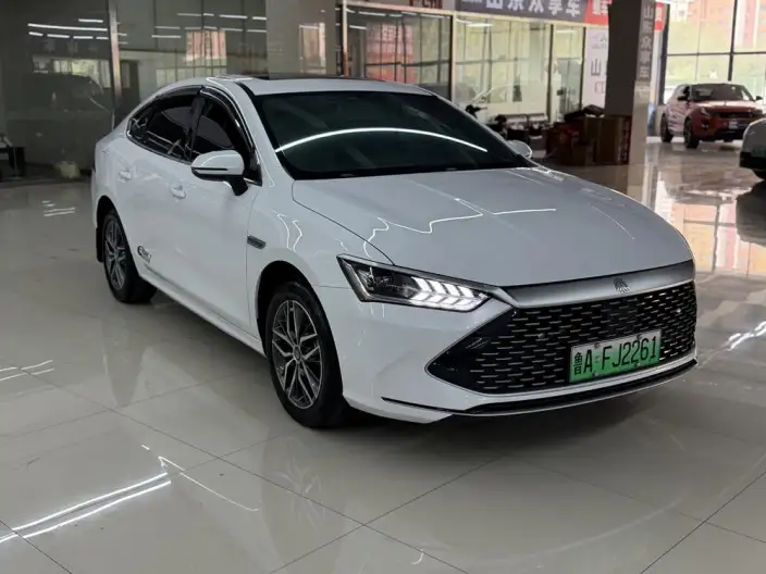 BYD Qin PLUS DM 2021 Model DM-i 120KM Noble Model – фото 2
