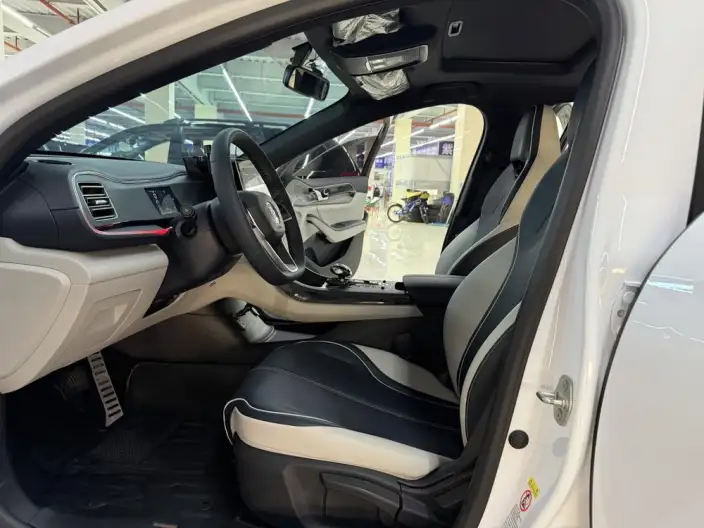 BYD Qin PLUS DM 2021 Model DM-i 120KM Noble Model – фото 7