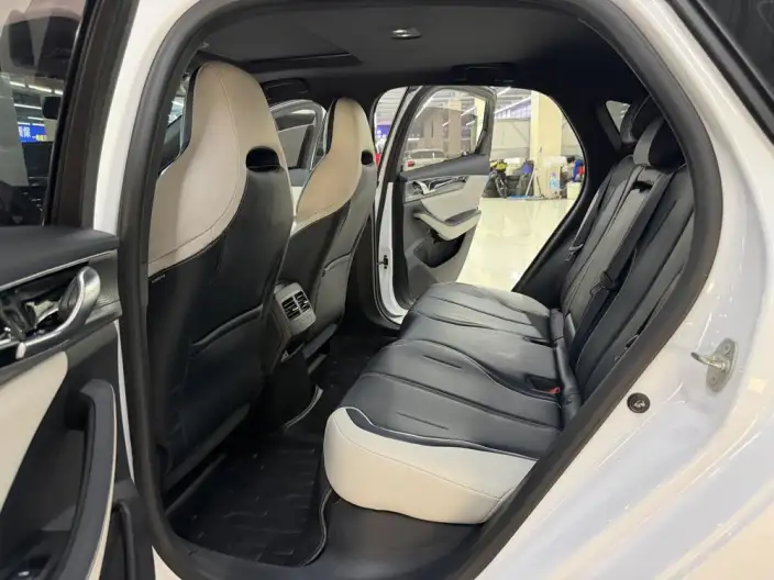 BYD Qin PLUS DM 2021 Model DM-i 120KM Noble Model – фото 9