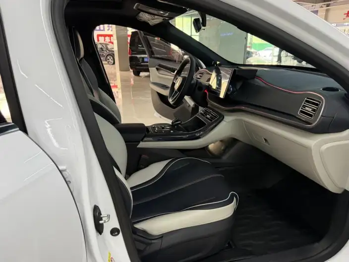 BYD Qin PLUS DM 2021 Model DM-i 120KM Noble Model – фото 10