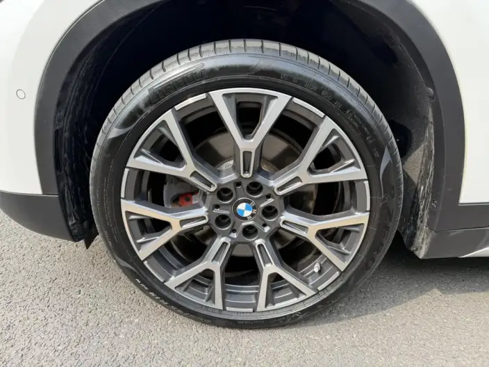 BMW X1 2020 Model xDrive25Li Exclusive Model – фото 9