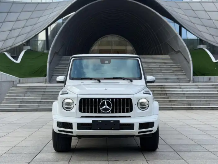 Mercedes-Benz G-Class 2020 Model G 350 – фото 2