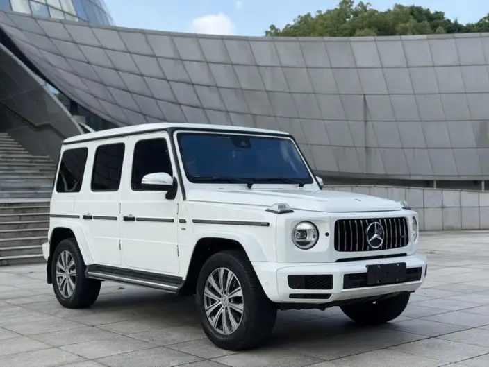 Mercedes-Benz G-Class 2020 Model G 350 – фото 3