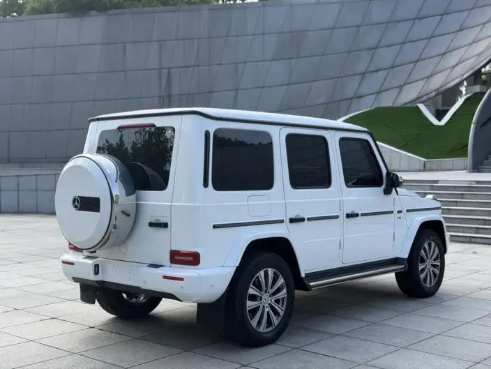 Mercedes-Benz G-Class 2020 Model G 350 – фото 6