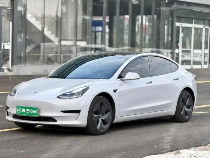 Model 3 2020 Model Standard Battery Life Rear Drive L Class Edition – фото 1