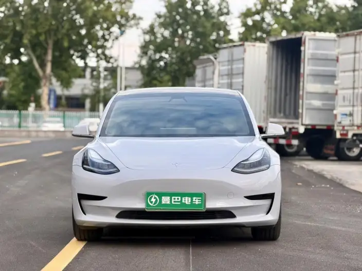 Model 3 2020 Model Standard Battery Life Rear Drive L Class Edition – фото 2