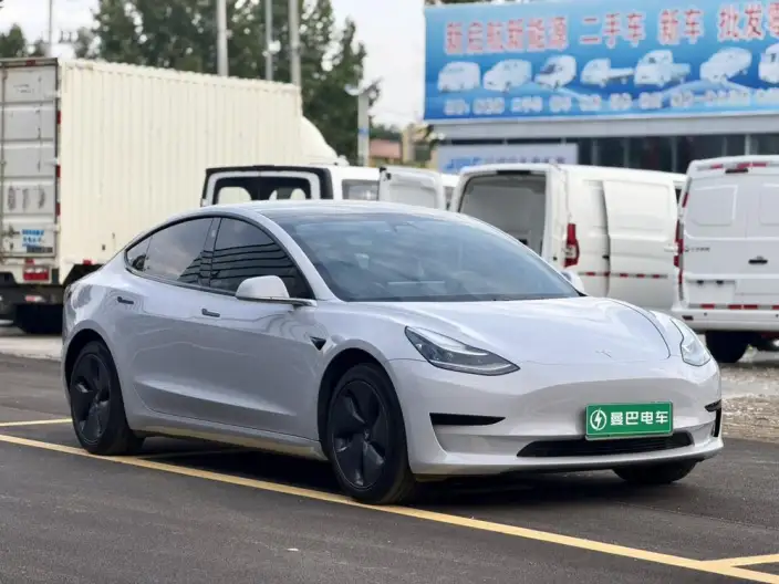 Model 3 2020 Model Standard Battery Life Rear Drive L Class Edition – фото 3