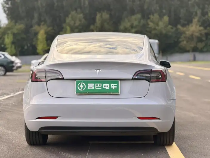 Model 3 2020 Model Standard Battery Life Rear Drive L Class Edition – фото 5