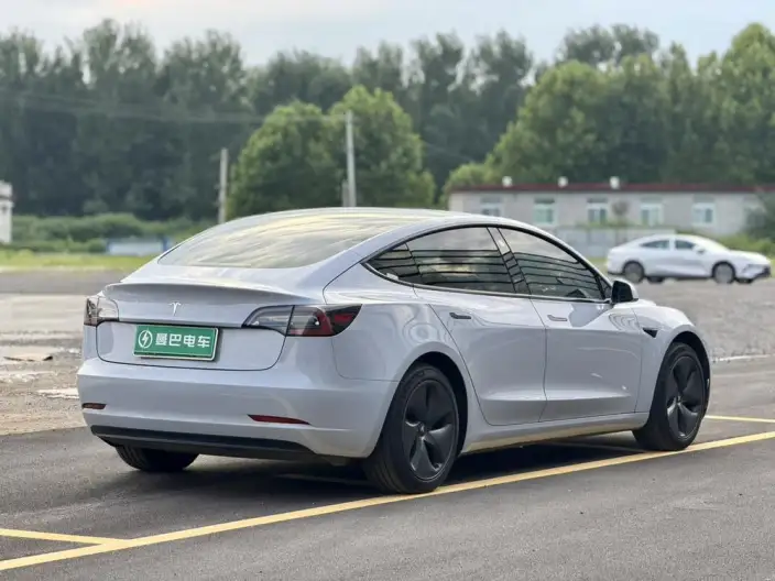 Model 3 2020 Model Standard Battery Life Rear Drive L Class Edition – фото 6