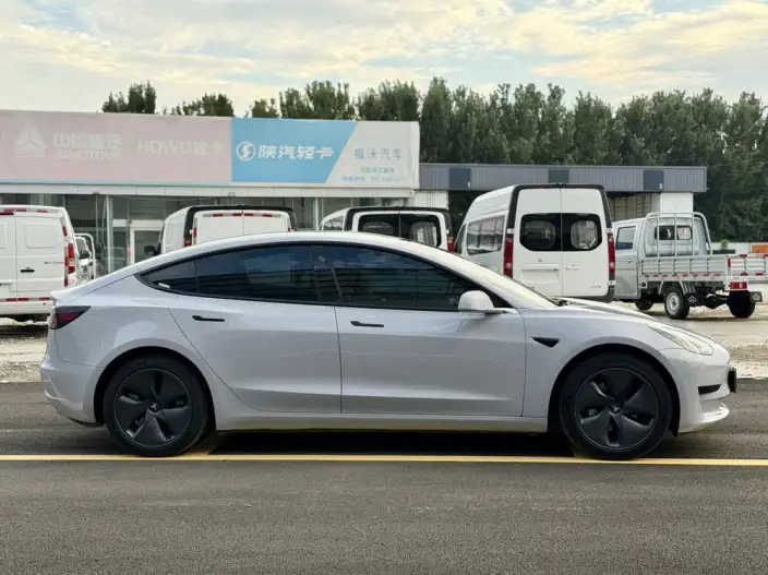 Model 3 2020 Model Standard Battery Life Rear Drive L Class Edition – фото 7