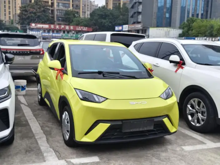 BYD Seagull 2023 Model Vitality Edition – фото 3