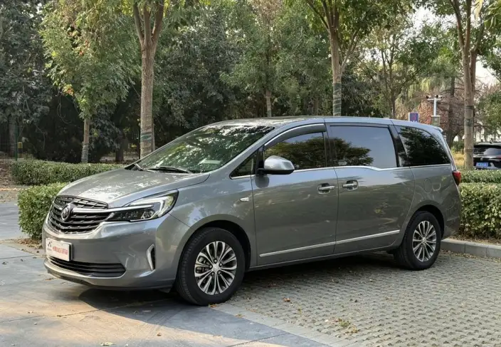 Buick GL8 2020 Model Business class 652T Luxury Model – фото 1