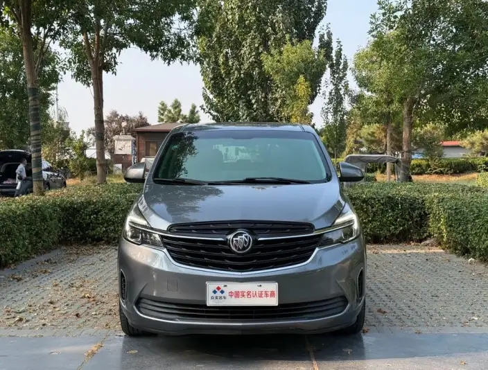 Buick GL8 2020 Model Business class 652T Luxury Model – фото 2