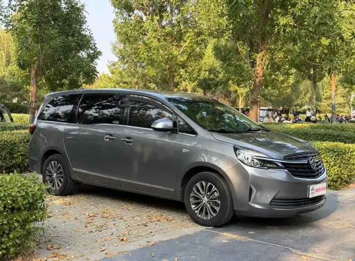Buick GL8 2020 Model Business class 652T Luxury Model – фото 3