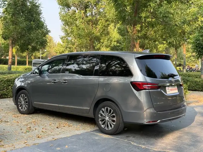 Buick GL8 2020 Model Business class 652T Luxury Model – фото 4