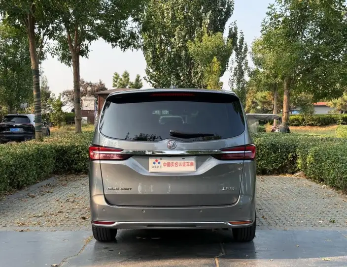 Buick GL8 2020 Model Business class 652T Luxury Model – фото 5